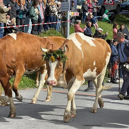 Chalet Heloise Arveyes