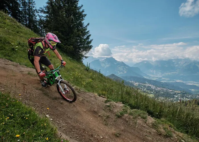 シャレー Heloise Arveyes