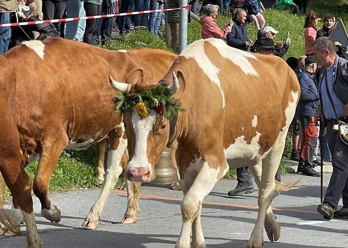 Alpstuga Heloise Arveyes