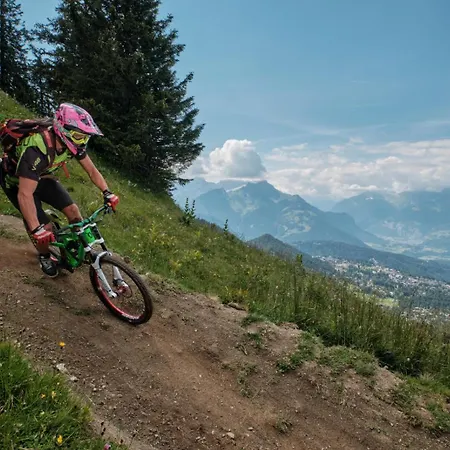 Chalet Heloise Arveyes